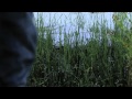 Still Waters (Trailer)