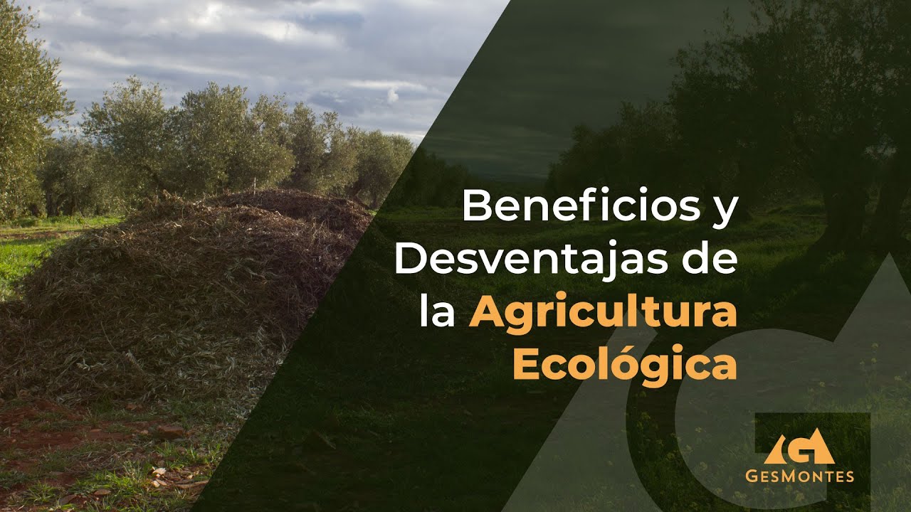 Beneficios y Desventajas de la Agricultura Ecológica