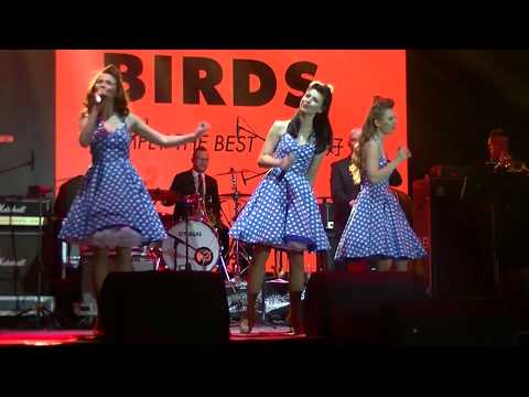 Singin' Birds sing in Chinese - Ni New Wo Ai - Live in China