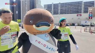 2026/5/25放送・知ったかぶりカイツブリにゅーす