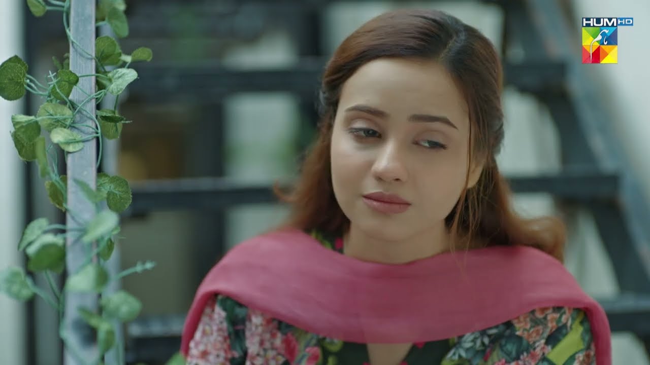 Ye Mushkil Waqt Bhi Guzar Jaye Ga... #meribahuain - HUM TV