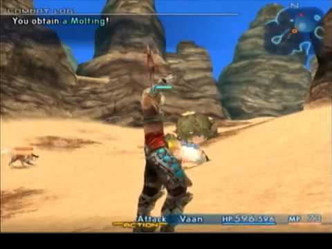 Final Fantasy 12 extreme powerleveling guide (part 11/62 - the burning bow (the basics))