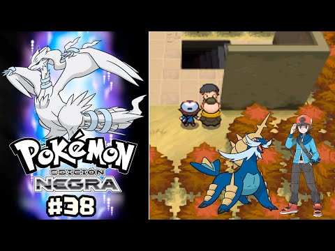 #38 POKÉMON EDICIÓN NEGRA ⬛EL SOLAR DE LOS SUEÑOS, COMBATES, OBJETOS Y ENCONTRANDO AL SEGUNDO SABIO⬛