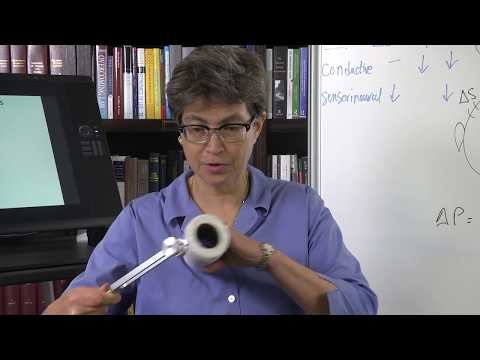 11.11 Weber and Rinne Tests