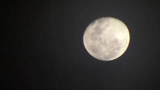 Milton Nascimento - Francisco (vídeo)