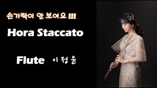 Hora Staccato  /  Flute  이정윤