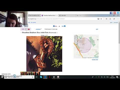 Redding Pets Craigslist