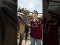 How To Properly Wash Your Horse S Butt Shorts Horse Emu Alveus Irl Mayahiga Twitch