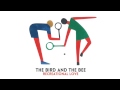 The Bird and the Bee - Doctor (Official Audio)