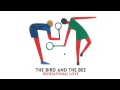 The Bird and the Bee - Doctor (Official Audio ...