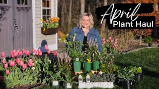Plant Shopping April Haul: Some Shade Perennials to the Garden 🌱