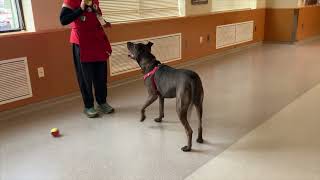 Video of Zeus