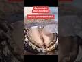 What Is Squirting Gynecologist Explains Shorts