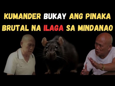KILALANIN ANG HARI NG ILAGA AT UNTOUCHABLE NA SI KUMANDER BUKAY