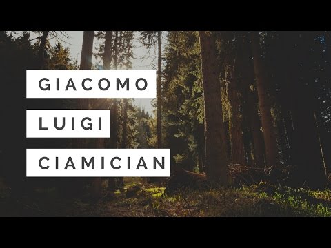 Giacomo Luigi Ciamacian