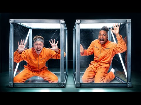 Wer hält länger Eingesperrt in 1m³ Box aus?