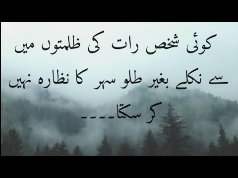 Hosla rakho sabr rakho✨|Best Motivational quotes in Urdu|@adeebazubair3343