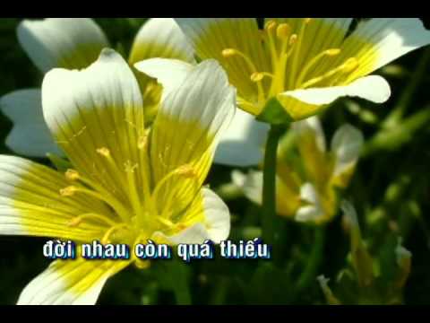 Chút tình xót xa Sheet - Châu Thùy Dương