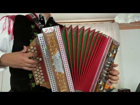 Med polharji - Ans. Lojzeta Slaka