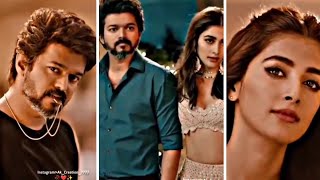 Arabic Kuthu Status ❤️ Halamithi habibo 🥀 Love Lofi Efx Status ❤️ Vijay thalapati Puja Hegde