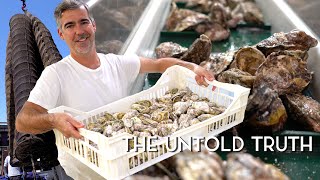 The secrets revealed - Everything you need to know about oysters