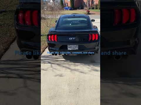 2019 Mustang GT with Roush exhaust, tune, and intake. Cold start