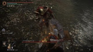 マレニアパリィ道場:筋神