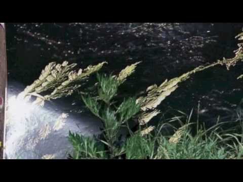 Yitzhak Yedid : Myth Of The Cave / Imaginary Ritual (Third Movement)