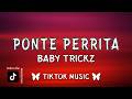 Ponte Perrita - Baby Trickz (versión extendida) TikTok