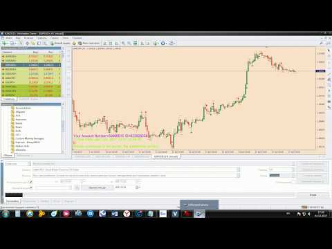 Video BinaryPRO