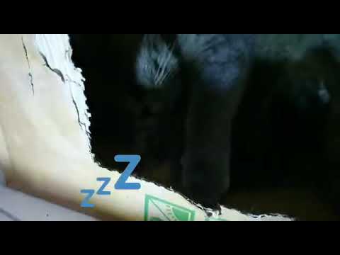 Luciana & baby part 1