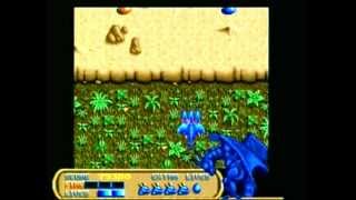 DRAGON SPIRIT (AMIGA - FULL GAME)