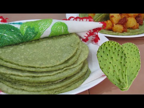 download lagu mp3 mp4 Nopal Chips, download lagu Nopal Chips gratis, unduh video klip Nopal Chips