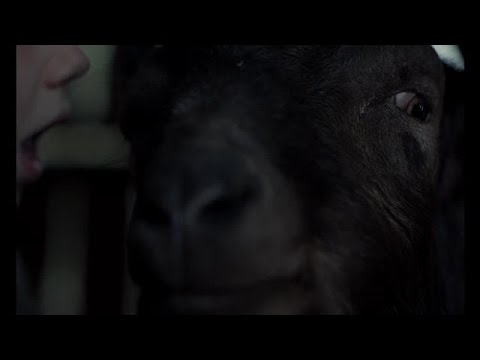 'The Witch' Official Trailer (2016) HD