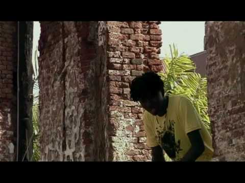 Damaru - Gado pasi