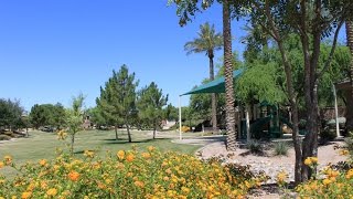 Homes in Lantana Ranch Chandler AZ