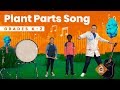 The Plant Parts SONG | Science for Kids | Grades K-2