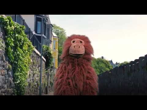 MŴFS FEL DAFYDD IWAN - Gareth