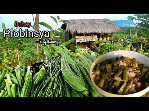 A peaceful life in the countryside | Harvesting and cooking vegetables | Biag ti Away by Balong