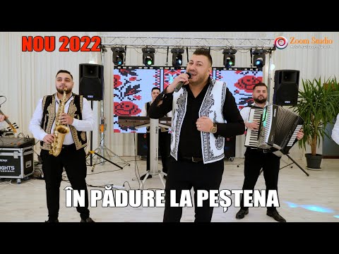 🏕În pădure la Peșteana 👉Formatia Iulian de la Vrancea ✅Cea mai tare melodie pe 2022