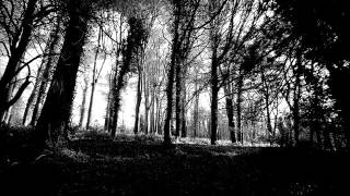 Panopticon - Killing The Giants As They Sleep