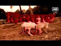 जीतेंद्र रेखा और शशिकला अनदेखी दिल दे�