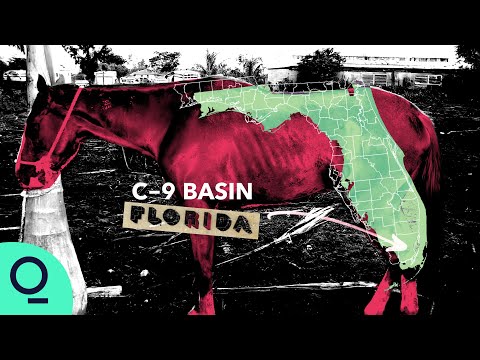 Infiltrating Florida’s Animal-Slaughter Underworld