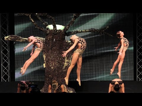 Murrieta Dance Project - Hanging Tree