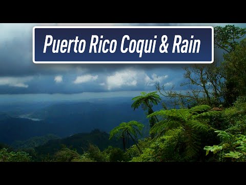 Rain & Coqui Sounds | Puerto Rico Rain Forest | Sleep Therapy | Help with #Insomnia