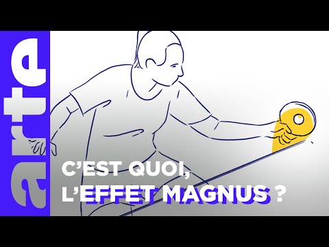 Le tennis de table et l’effet Magnus | Culture physique | ARTE
