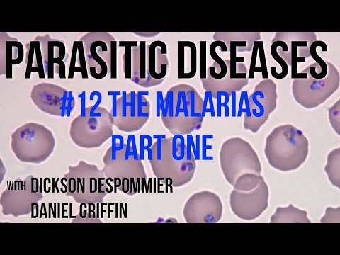 Parasites Without Borders, Parasitic Diseases Lectures #12: The Malarias Part One