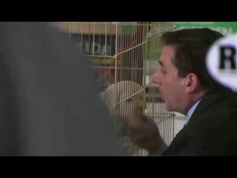 Michael Scott in a pet store