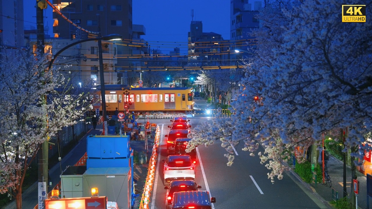 4K HDR Blue Hour Sakura Walk in Nakano Tokyo 🌸🌆 Relaxing Evening Ambience for Sleep & Study