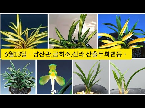 유튜브 썸네일